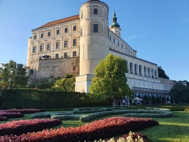 Apartmán U Špačků - Novosedly - Pálava