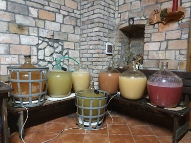 Apartmán U Špačků - Novosedly - Pálava