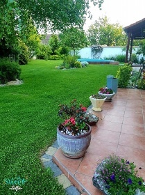 Apartmán U Špačků - Novosedly - Pálava