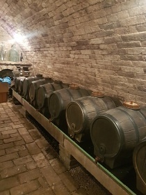 Chalupa s baz�nem - Nov� Ml�ny - CHKO P�lava