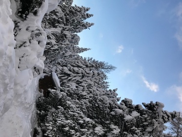 Chata Anton - Ždiar - Bachledova Dolina 549