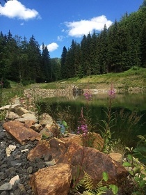 Horská chata - Krušné hory - Klínovecký potok