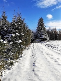 Chalupy Vichrovky - Filipovice - Bl p. Pradd.