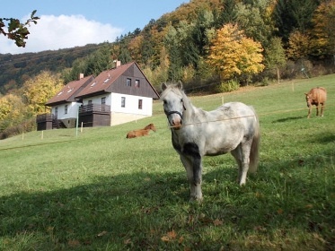 Green Valley Park - chaty s bazénem Stárkov