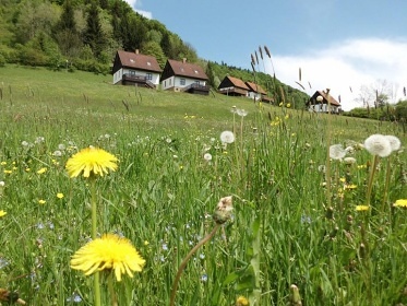 Green Valley Park - chaty s bazénem Stárkov