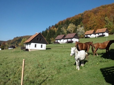Green Valley Park - chaty s bazénem Stárkov