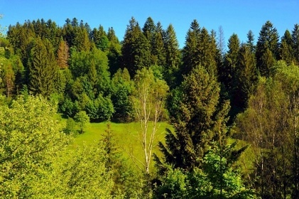 Chata s bazénem - Kysuce - Veká Rača - Oščadnica