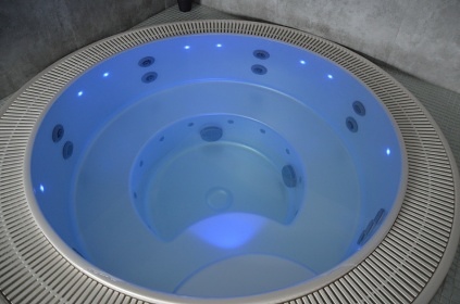 Chalupa bazén a wellness - Železné hory - Luže