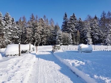 Chata s bazénem - Broumovské stěny - Adršpach