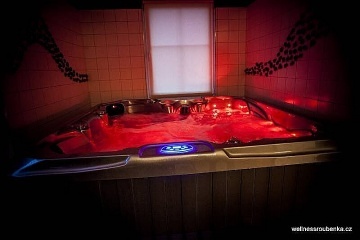 Roubenka s wellness - Tebosko - rybnk Hejtman