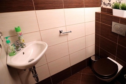 Wellness chata - Detn v Orlickch horch