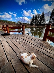 Glamping na vod s wellness - Jindichohradecko