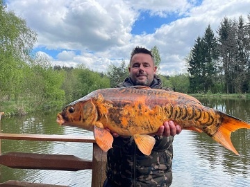 Glamping na vod s wellness - Jindichohradecko