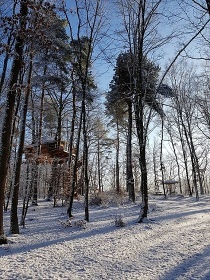 Stromhouse - Glamping Pyskoely na strom