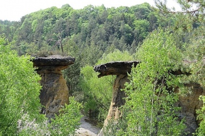 Chata POKR rane - Volfartice - esk Lpa