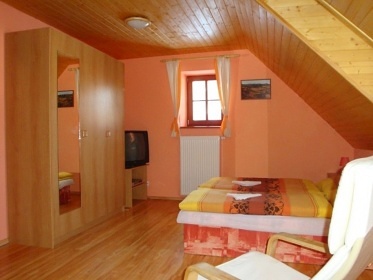 Wellness roubenka s bazénem - Černý Důl - Krkonoše