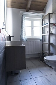 Roubenka s wellness - Doln Morava - Bukovka