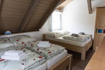 Roubenka s wellness - Doln� Orlice - Bukov� hora