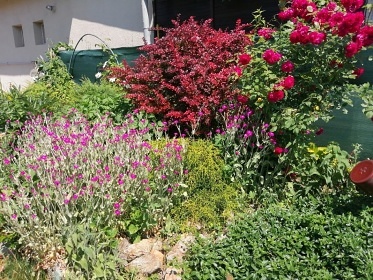 D�m u jezera - Thermalpark Dunajsk� Streda