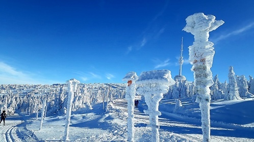 Roubenka s baz�nem - Term�ln� park Velk� Losiny