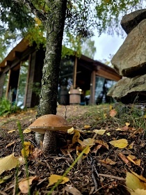 Chata Vysočina - bazén a vířivka - Ruda
