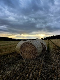 Chata Vyso�ina - sauna a koupac� sud - Ruda