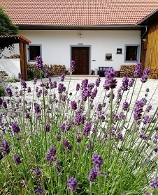 Chalupa na eskm venkov - Vlachovo Bez