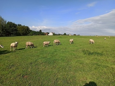 Chalupa u farmy - odpo�inek na venkov� - Ston�vka