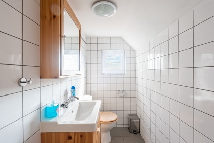 Stylov chalupa esk vcarsko - Jetichovice