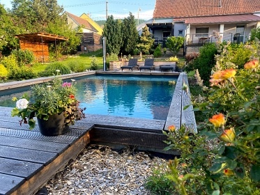 Chalupa bazn a vinn sklpek - Nov Mlna - Plava