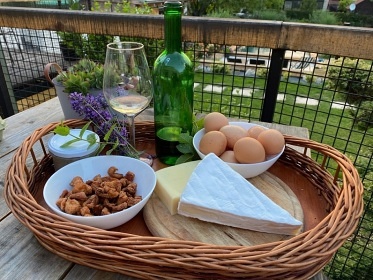 Chalupa bazn a vinn sklpek - Nov Mlny - Plava