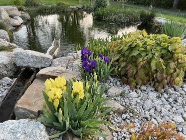 Chalupa Jizersk hory - Vyhldkov cesta - Koenov