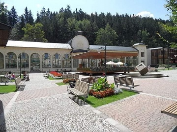 Apartmán U Jolany - srub Svoboda nad Úpou