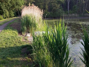 Chalupa esk rj - Phrazsk skly - ehrov