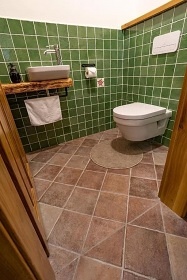Statek U Medvěda - Nová Pec - Dlouhý Bor