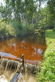 Chalupa Šumava - Želnava - jezero Lipno