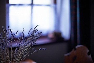 Chalupa CHKO Plava - pehrada Nov Mlny