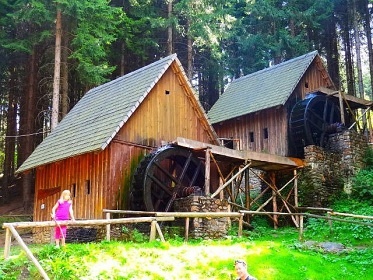 Chata u lesa - �ervenohorsk� Sedlo - Velk� Losiny