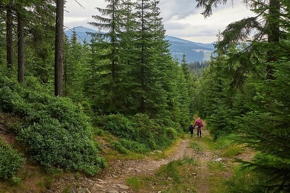 Chalupa v �dol� �eky �py - �ern� hora - Krkono�e