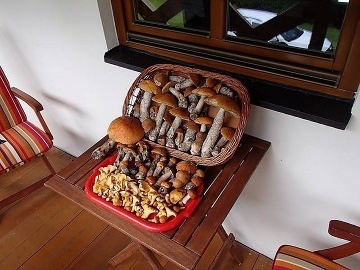 Chalupa Hrub� Jesen�k - Prad�d - Karlova Stud�nka