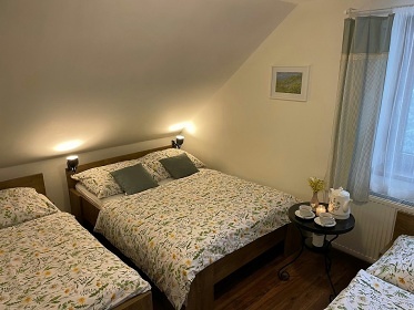 Chalupa s baznem - Jesenky - Velk Losiny