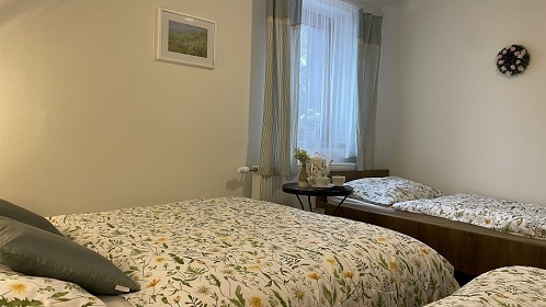 Chalupa s baznem - Jesenky - Velk Losiny