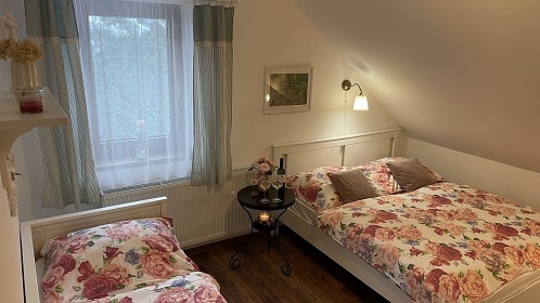 Chalupa s baznem - Jesenky - Velk Losiny