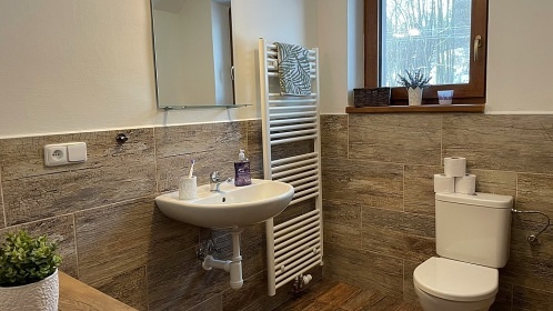 Chalupa s baznem - Jesenky - Velk Losiny