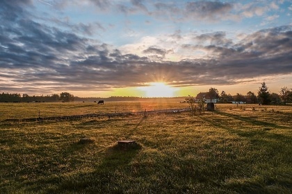 Chalupa T�ebo�sko a koupac� jez�rko - Borovany