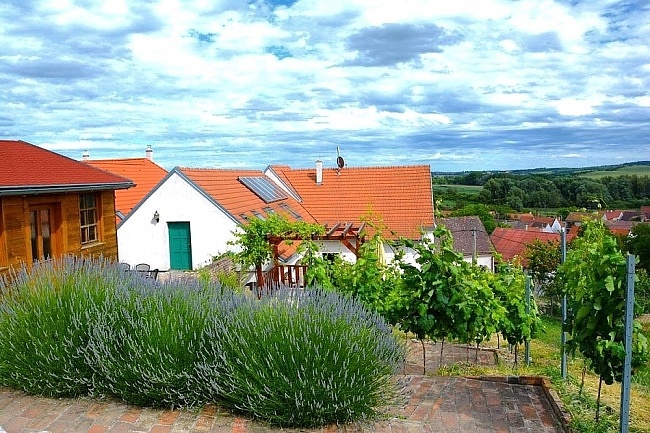 Vinařský dům Sedlec - Mikulov - vinný sklep