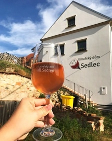 Vinařský dům Sedlec - Mikulov - vinný sklep