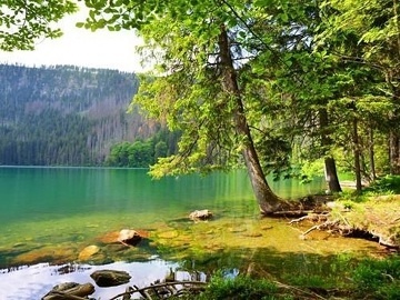 Apartmán Šumava - Brčálník - Úhlavské údolí