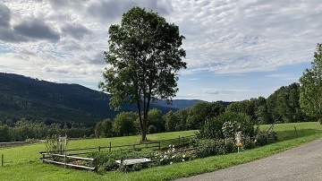 Horsk chata umava - Brlnk - hlavsk dol