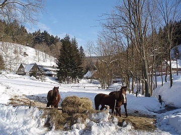 Chalupa Such� potok - Jansk� L�zn� - Krkono�e